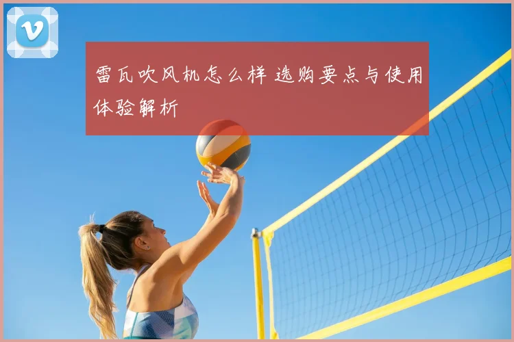 雷瓦吹风机怎么样 选购要点与使用体验解析